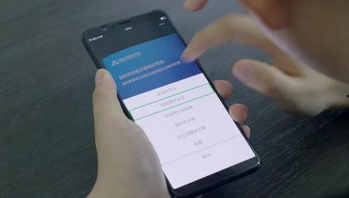 盲道手机在线播放,手机在线播放引领无障碍出行新时代