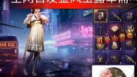 刺激战场最新军需爆料点,神秘装备亮相，战场格局再起风云