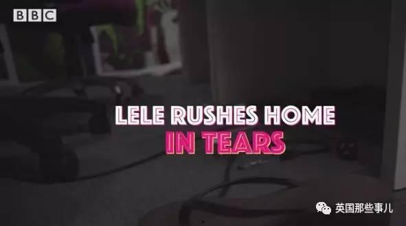 bbc鸟鸣在线播放