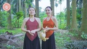 姐姐高清无码 迅雷 mp4,迅雷MP4带你重温经典时刻